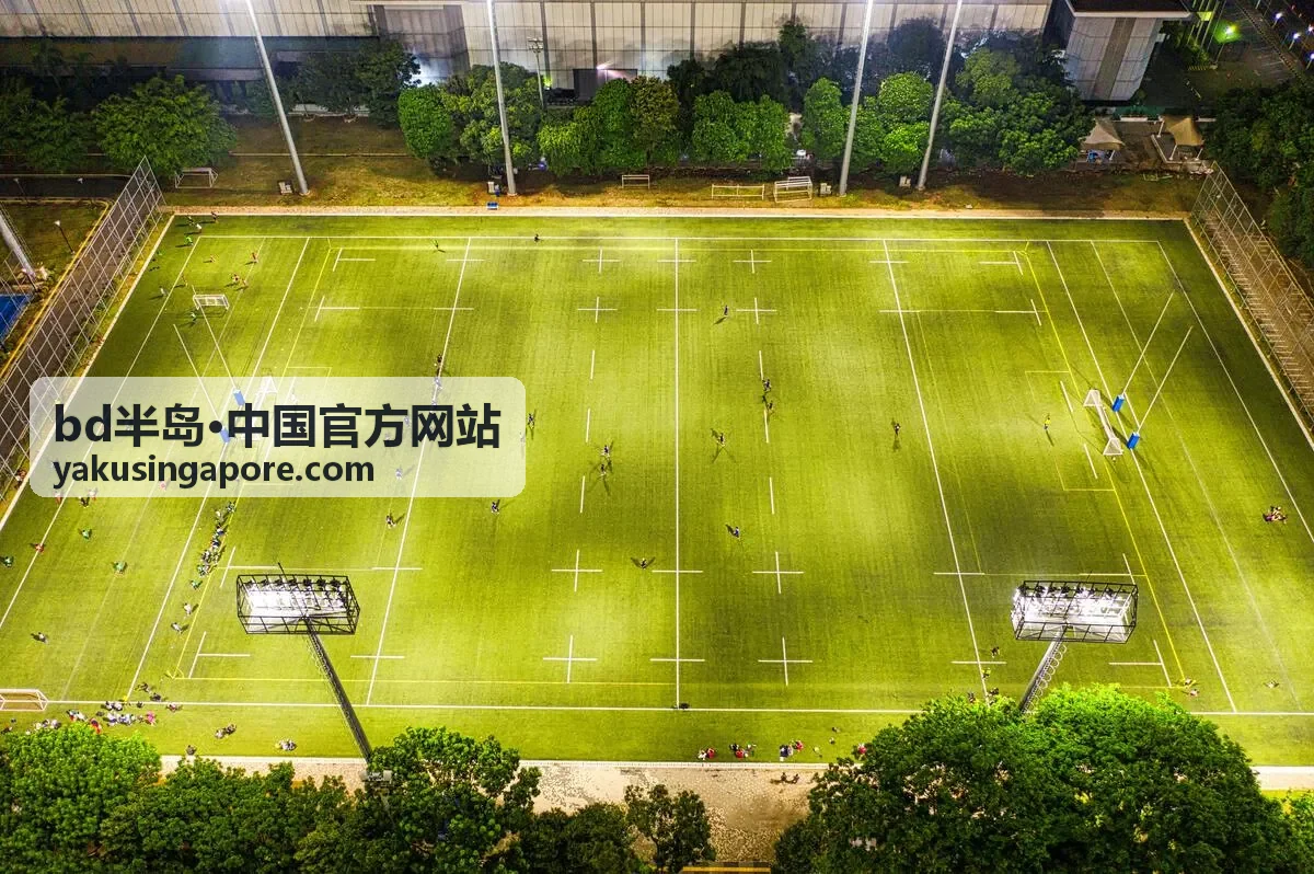 bd半岛·中国官方网站最新资讯封面