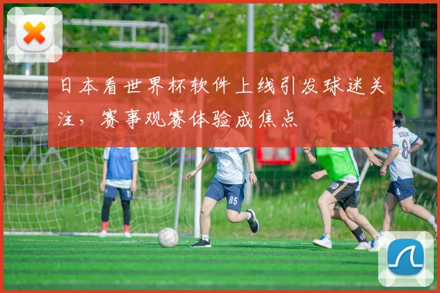 日本看世界杯软件上线引发球迷关注，赛事观赛体验成焦点
