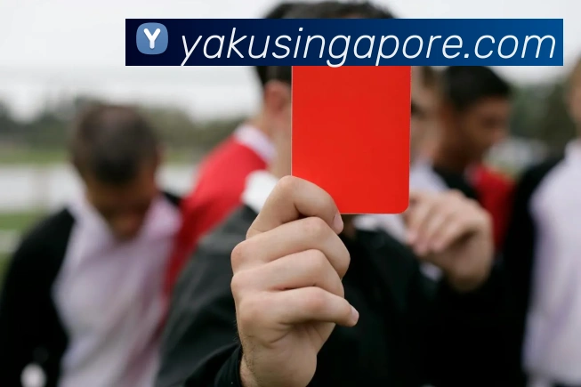 qy球友会最新地址平台生态图